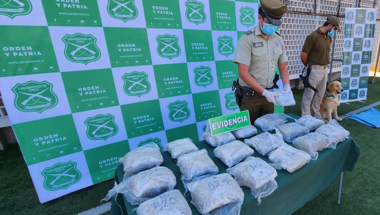 /carabineros-de-antofagasta-saca-de-circulacion-mas-de-900-millones-de-pesos-en-marihuana-creepy