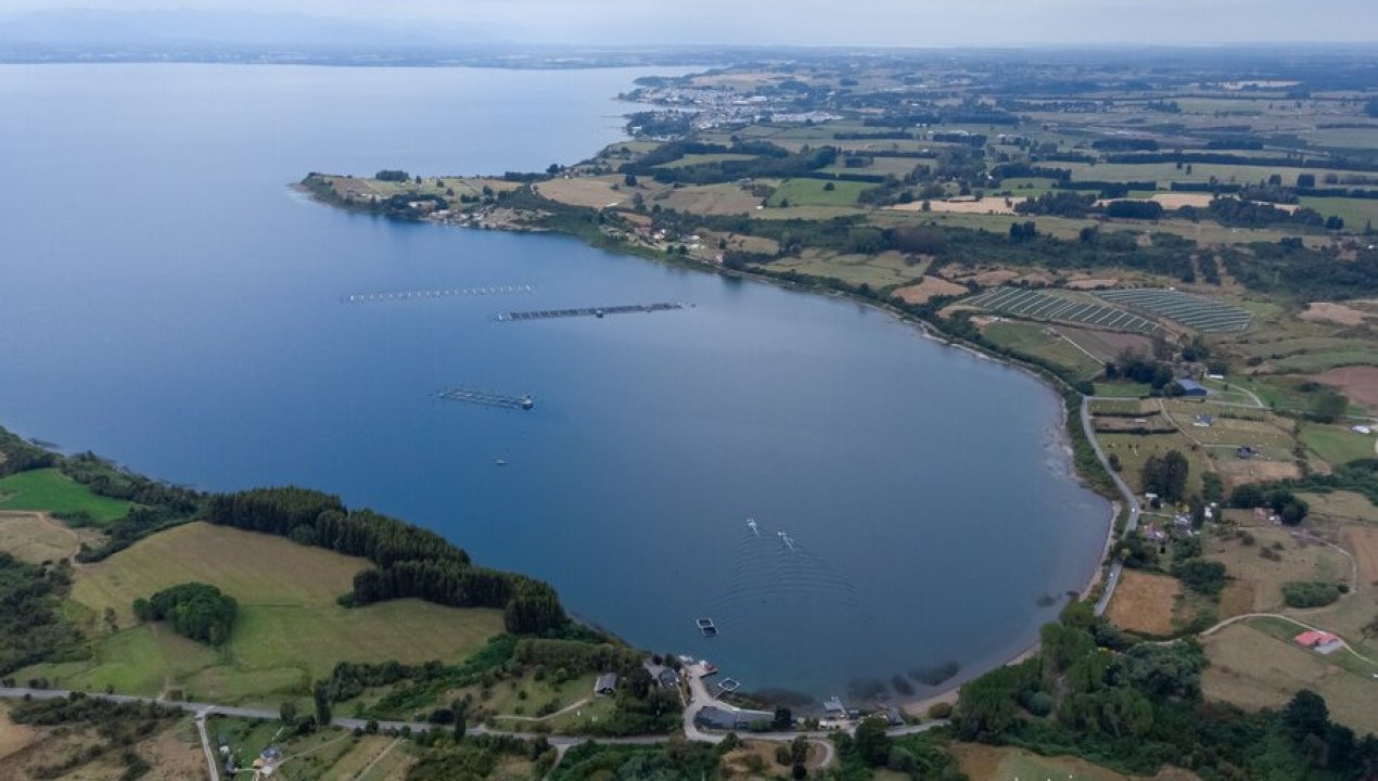 /regionales/absuelven-a-exejecutivos-de-salmonera-por-contaminacion-de-aguas-en